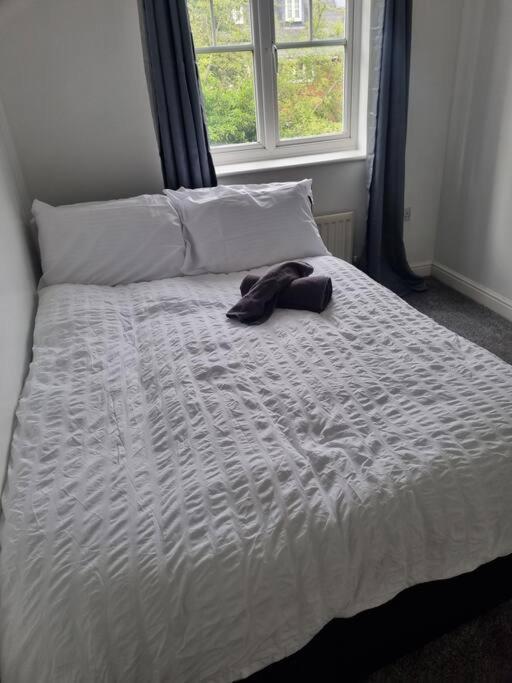 Maidstone Villa 3 Bedroom Free Sports Channels,Parking Sleeps 7 Extérieur photo